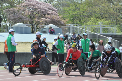 東北の遅い春。舞い散る桜と新緑が迎えてくれる季節です