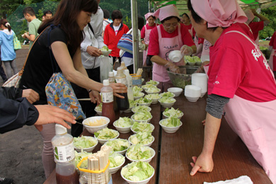 甘くて美味しい朝採りキャベツ。ビタミンたっぷりでランナーにぴったり