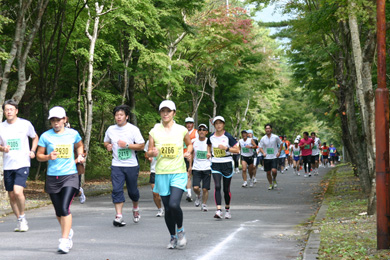 緑いっぱい！　マイナスイオンたっぷりのコースです
